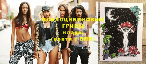 твердый Киров