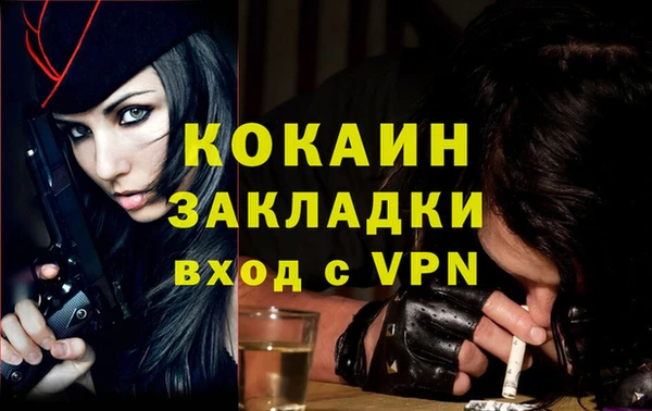 твердый Киров