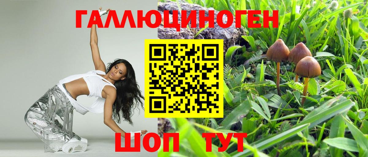 Псилоцибиновые грибы мухоморы  Вход с VPN  Бахчисарай 