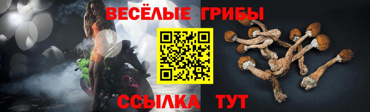 Галлюциногенные грибы GOLDEN TEACHER Бахчисарай
